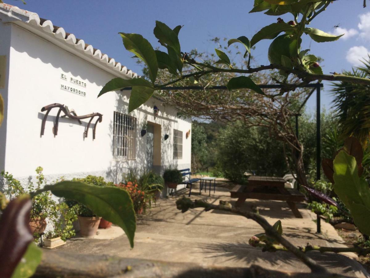 Rural El Puerto Mayordomo Ardales Ngoại thất bức ảnh
