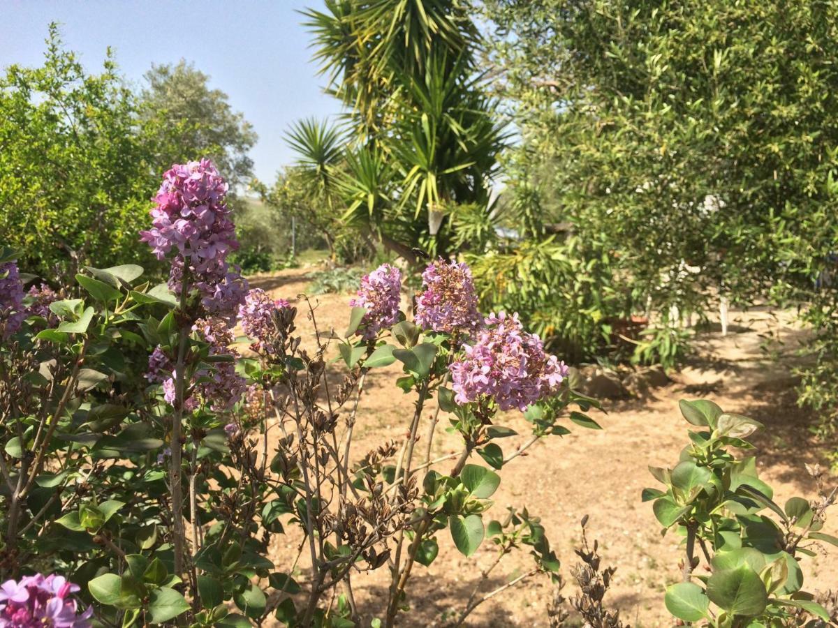 Rural El Puerto Mayordomo Ardales Ngoại thất bức ảnh